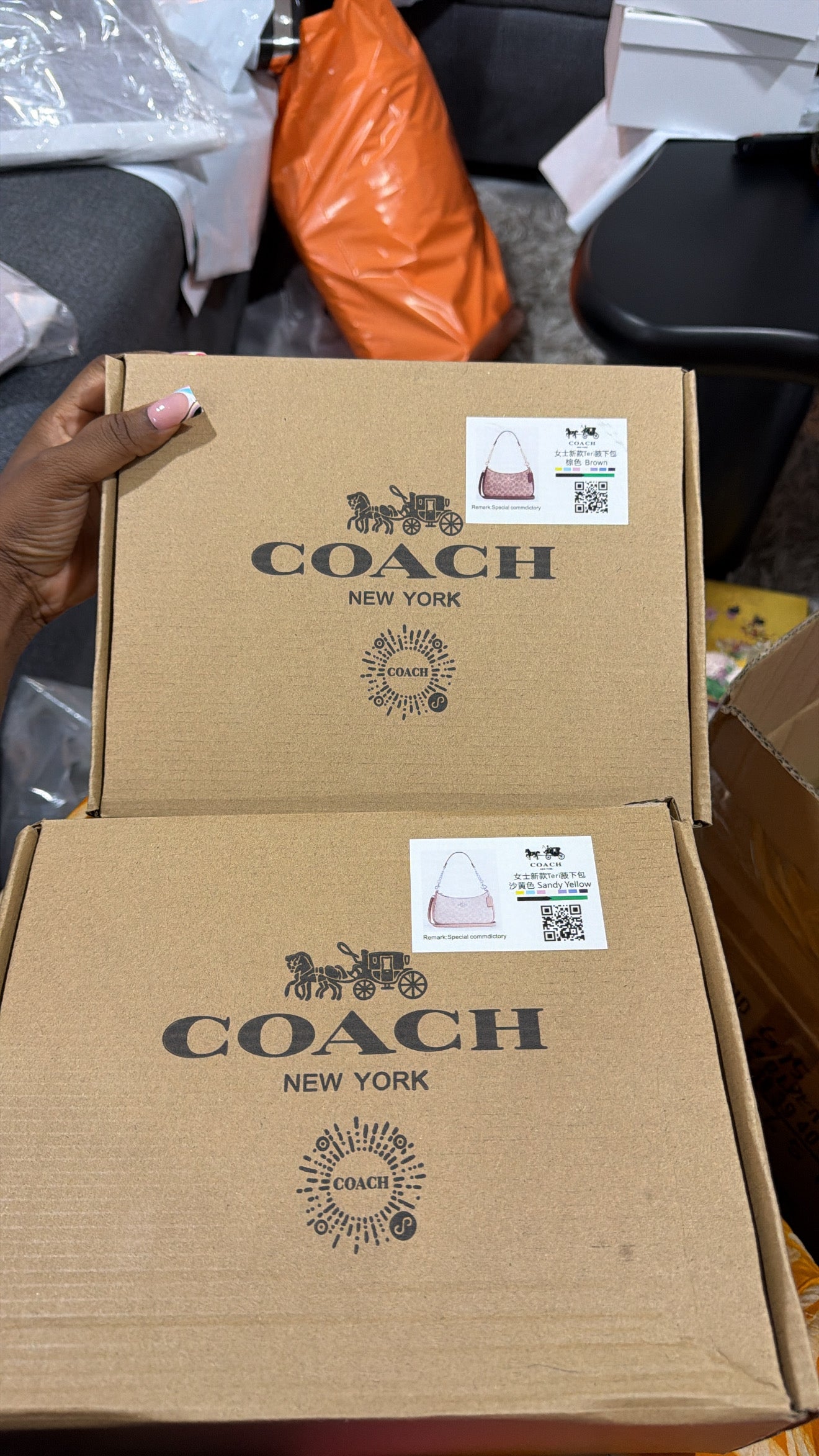 Coach Teri Underarm Bag