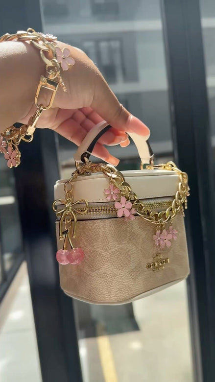 Coach mini bag