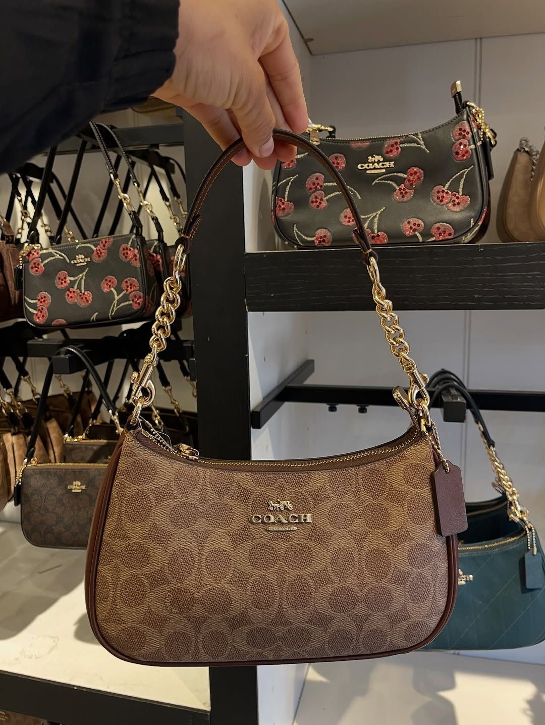 Coach Teri Underarm Bag